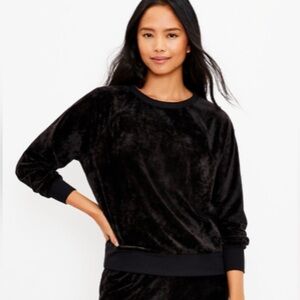 LOFT Lou & Grey Crushed Velour
Sweatshirt in Black Size Medium
